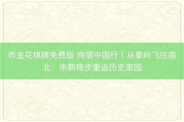 炸金花棋牌免费版 绚丽中国行丨从秦岭飞往南北：朱鹮稳步重返历史家园